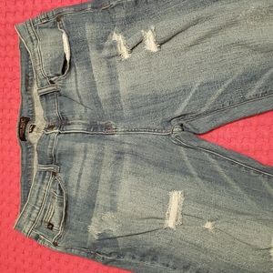 Judy Blue Blue Jean. Size 2XL. Distressed